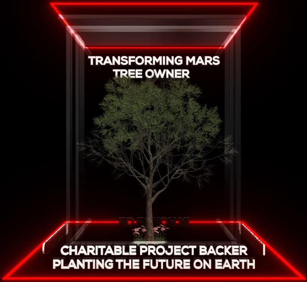 Green tree inside red neon-lit cube with text about Mars tree owner and Earth planting project