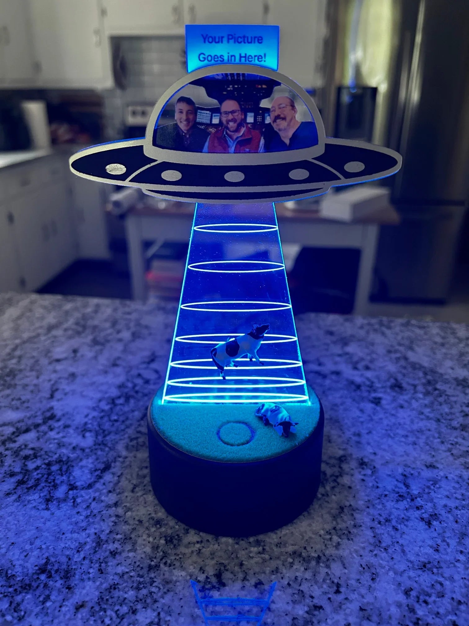 Blue illuminated UFO lamp on granite countertop abducting miniature cows, kitchen background